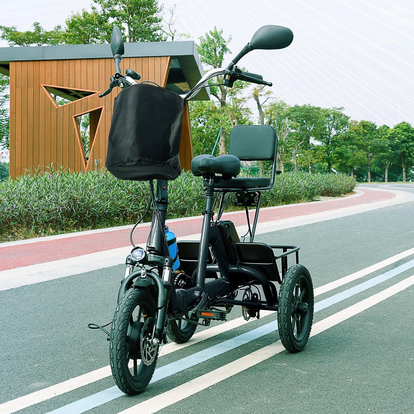 Foldable 3 Wheel Electric Tricycle 350W 48V Electric Trike with Front & Rear Basket for Men Women Adult Senior Black UL2849